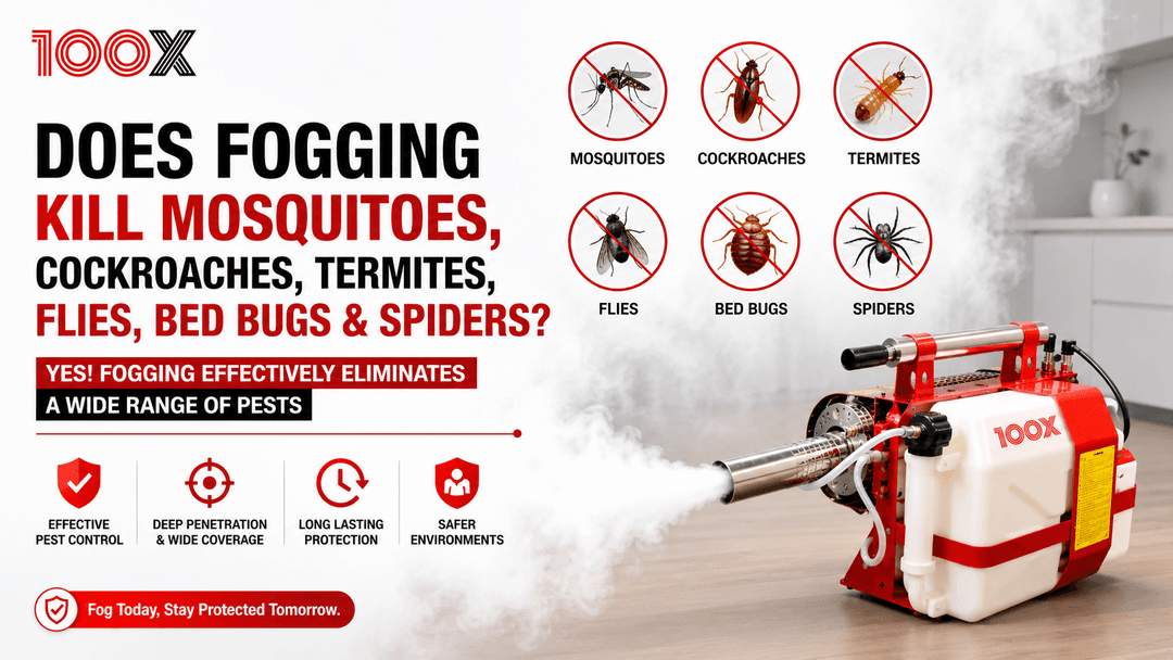Does Fogging Kill Mosquitoes, Cockroaches, Termites, Flies, Bed Bugs & Spiders? (Full Guide)